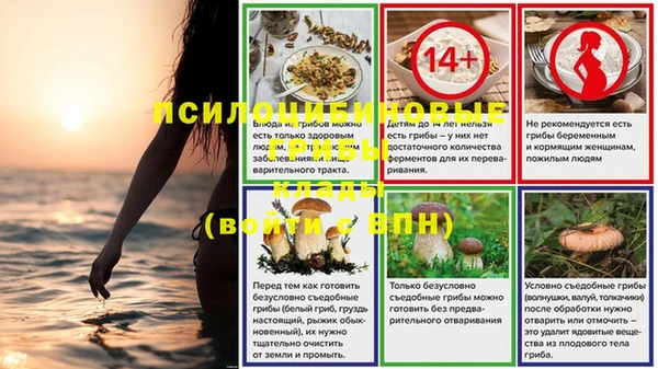 спиды Мегион