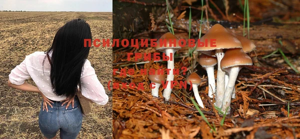 спиды Мегион